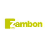 zambon montazhnaya oblast 1